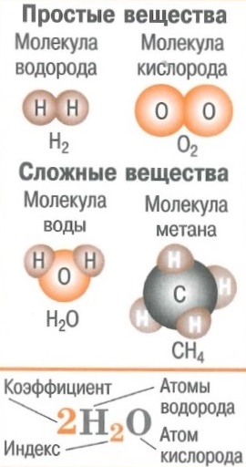 Основные понятия: атом, химический элемент, молекула, простые и сложные вещества, химическая формула, состав вещества