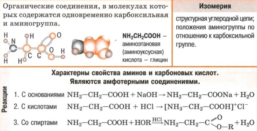 Аминокислоты - формулы, свойства (реакции с кислотами, с основаниями, со спиртами).