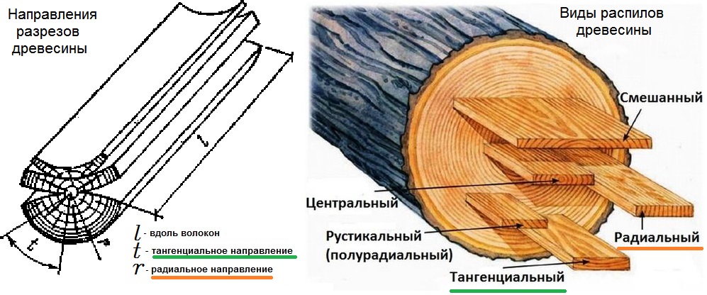 Что такое тангенциальное, радиальное и вдоль волокон направление для древесины