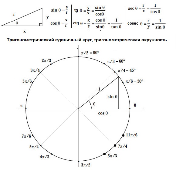 Тригонометрический единичный круг, тригонометрическая окружность, введение синуса и косинуса.
