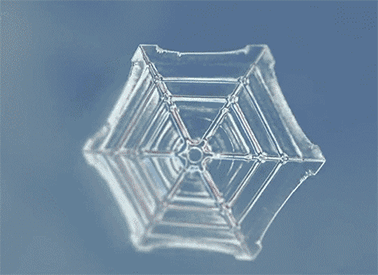 Рост и формирование кристалла снежинки